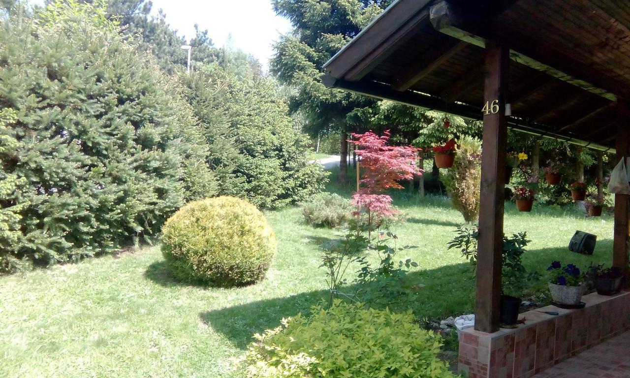 Apartmani Nais Zlatibor Kültér fotó
