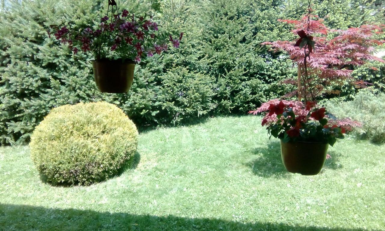 Apartmani Nais Zlatibor Kültér fotó