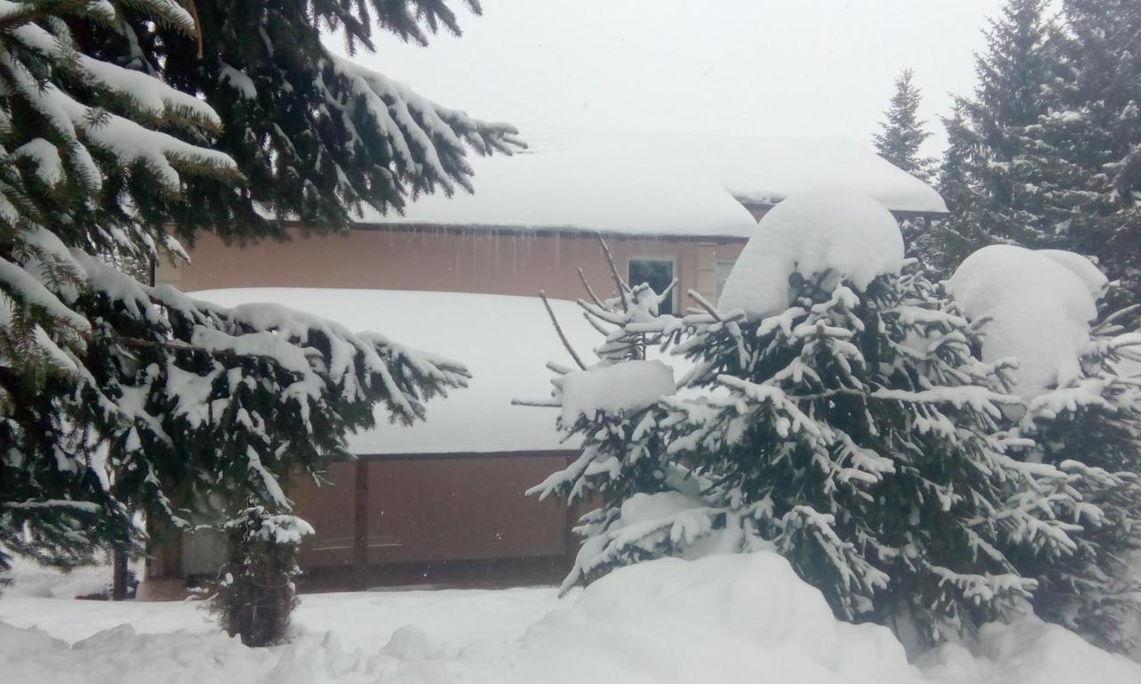 Apartmani Nais Zlatibor Kültér fotó